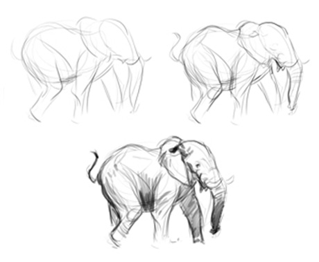 From Chloe the cat to elephant (and elephant to baby aardvark) | The Story Elves - Help with writing, editing, illustrating and designing your own stories From Chloe the cat to elephant (and elephant to baby aardvark) | The Story Elves - Help with writing, editing, illustrating and designing your own stories