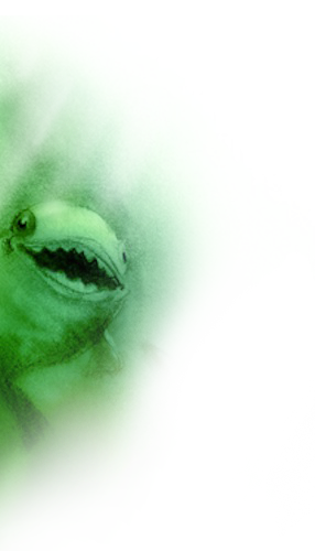 What do you fear when starting a story? | The Story Elves - Help with writing, editing, illustrating and designing your own stories What do you fear when starting a story? | The Story Elves - Help with writing, editing, illustrating and designing your own stories